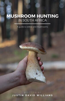PictureBook cover of mushroom hunting